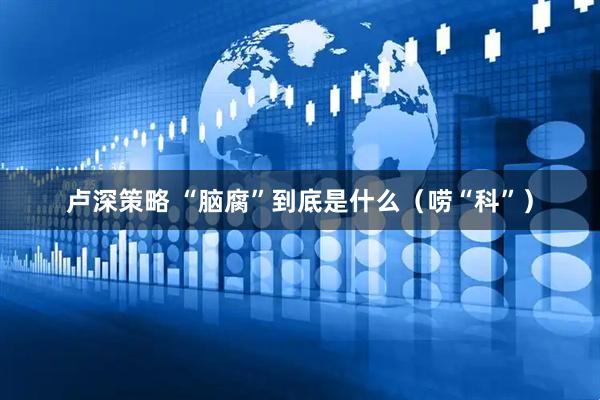 卢深策略 “脑腐”到底是什么（唠“科”）