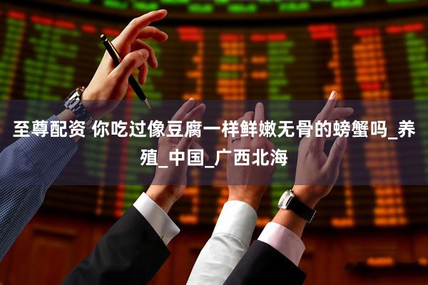 至尊配资 你吃过像豆腐一样鲜嫩无骨的螃蟹吗_养殖_中国_广西北海